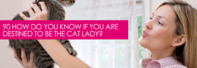 90 How Do You Know If You Are Destined To Be The Cat Lady? – Dating Advice With Single Smart Female